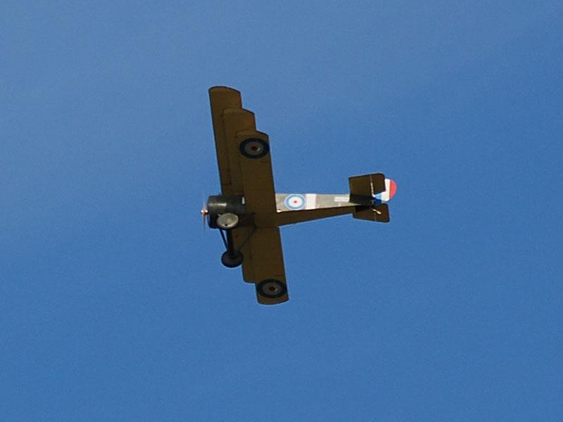 89.JPG