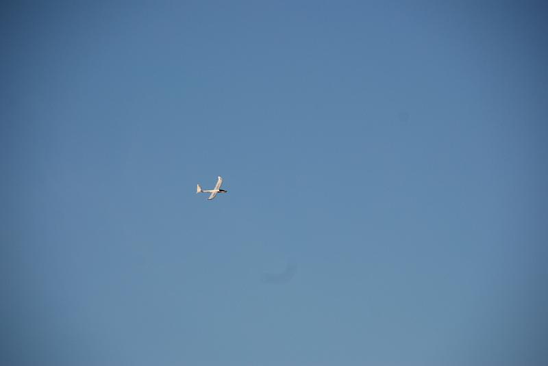 DSC_0082.JPG
