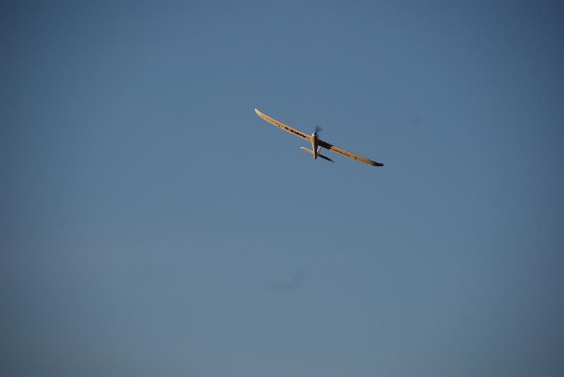 DSC_0098.JPG