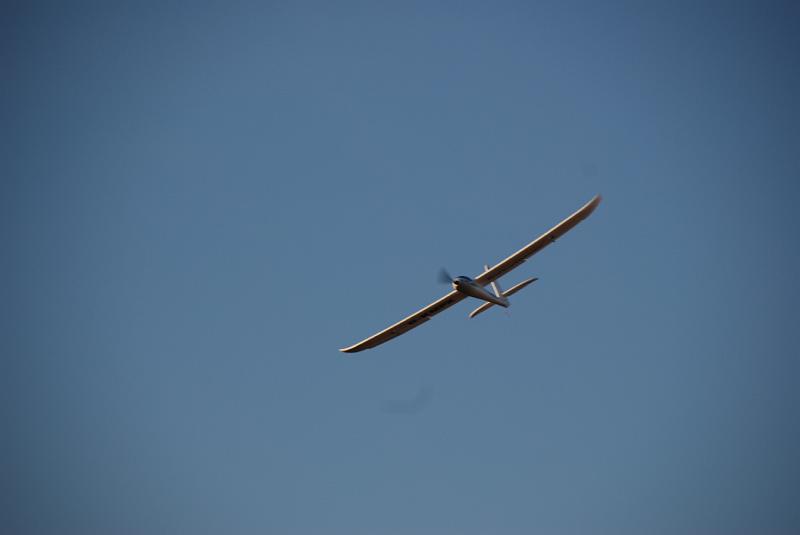 DSC_0100.JPG