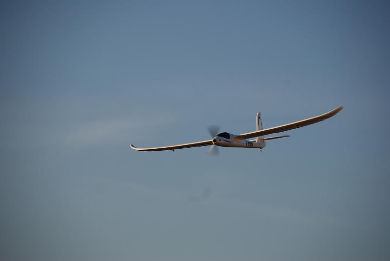 DSC_0103.JPG