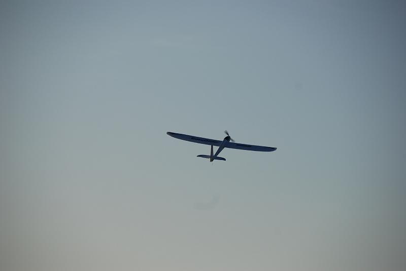 DSC_0110.JPG