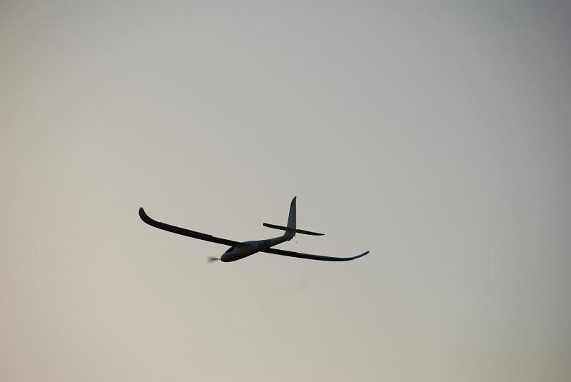 DSC_0137.JPG
