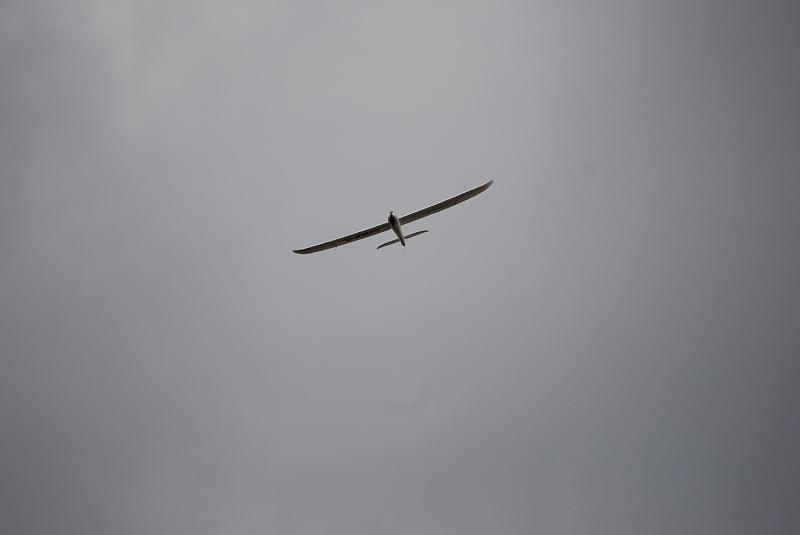DSC_0118.JPG