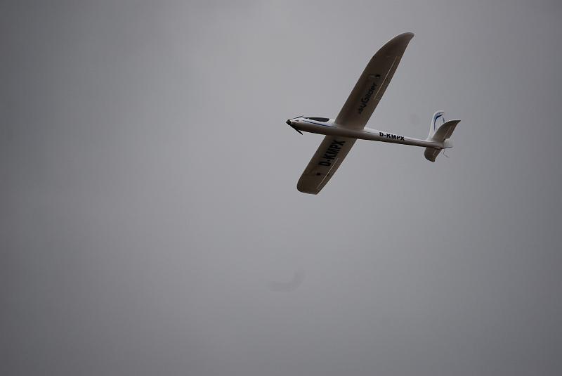 DSC_0123.JPG