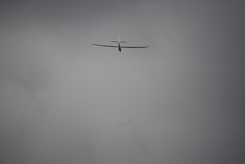 DSC_0137.JPG