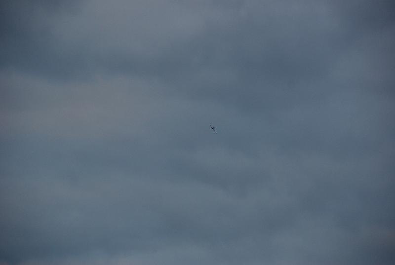 DSC_0023.JPG