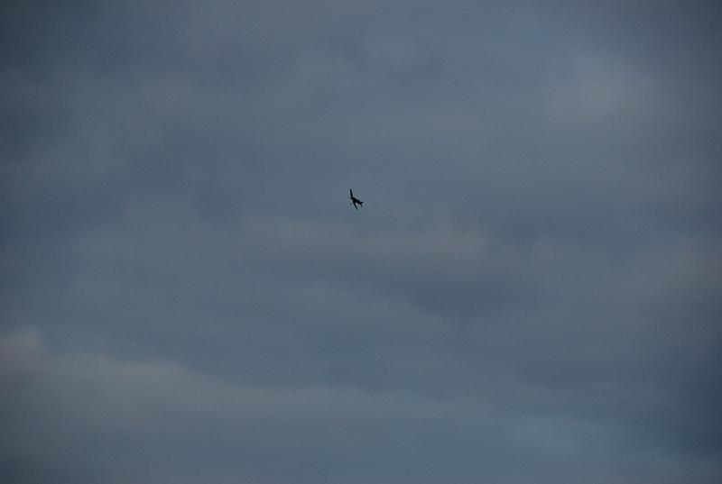 DSC_0025.JPG