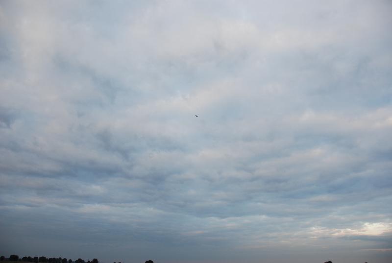 DSC_0026.JPG