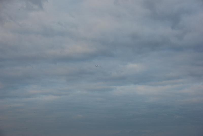 DSC_0031.JPG