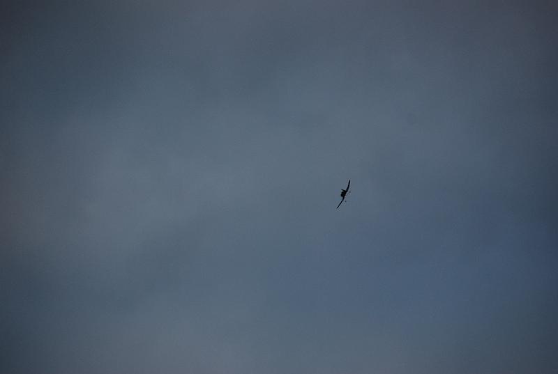 DSC_0033.JPG