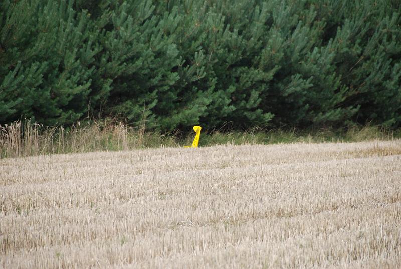 DSC_0016.JPG