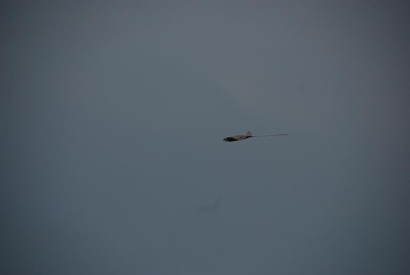 DSC_0056.JPG
