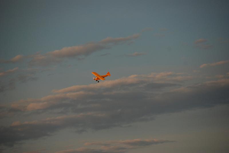 DSC_0101.JPG