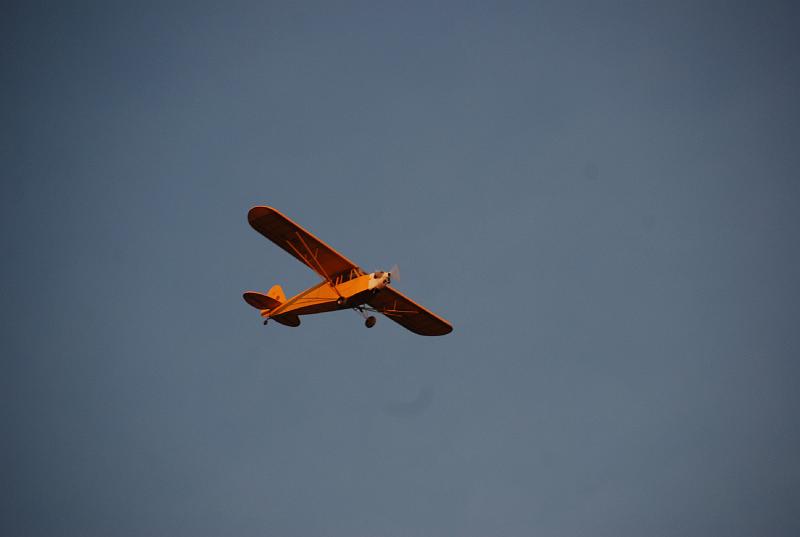 DSC_0113.JPG