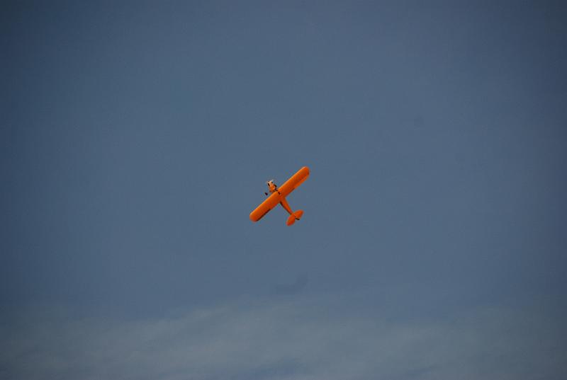 DSC_0116.JPG