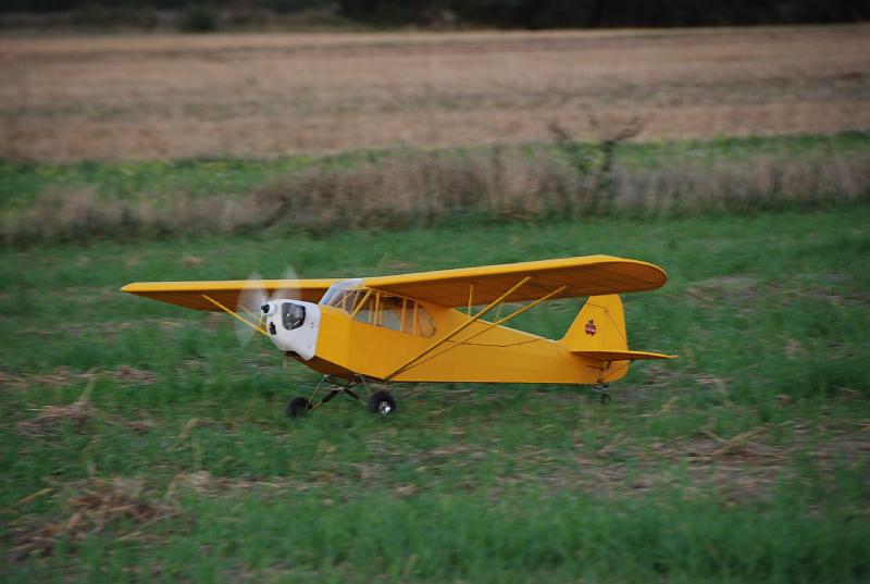 DSC_0132.JPG