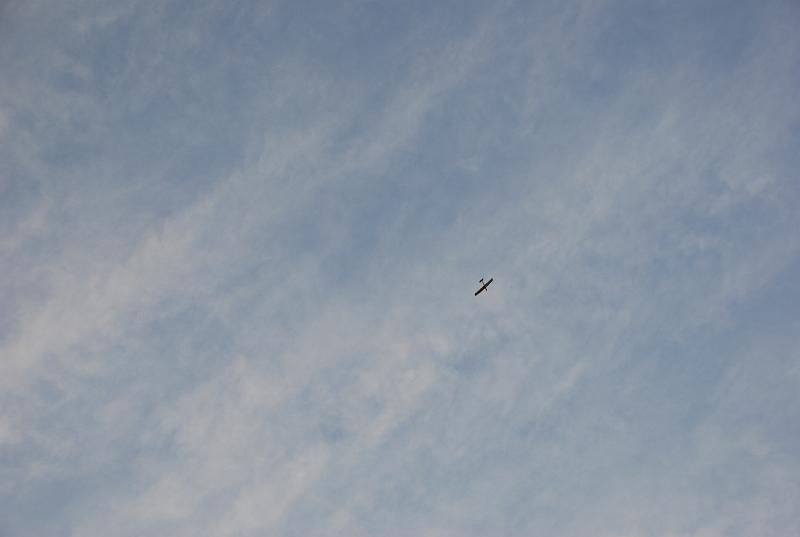 DSC_0135.JPG