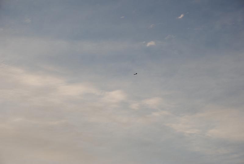 DSC_0137.JPG