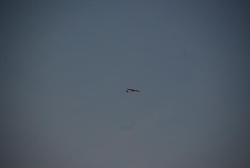 DSC_0141.JPG