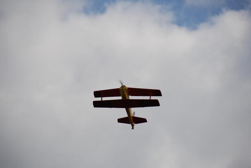 DSC_0172.JPG