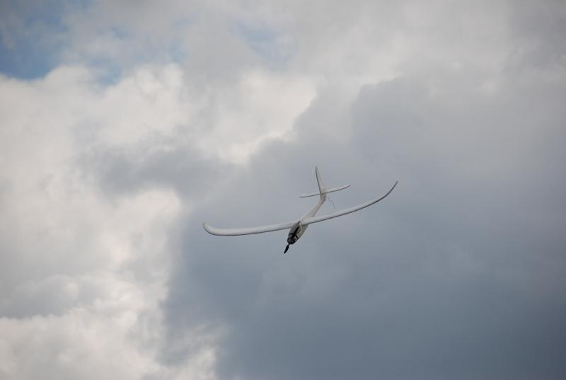 DSC_0175.JPG