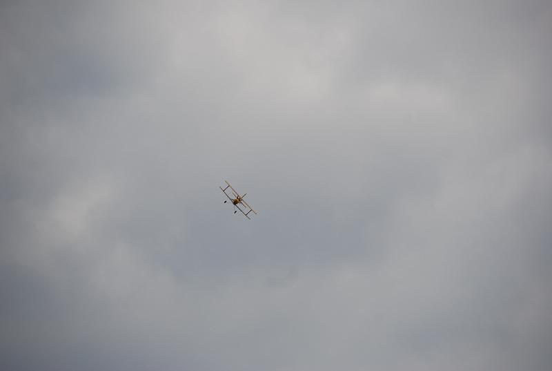 DSC_0178.JPG