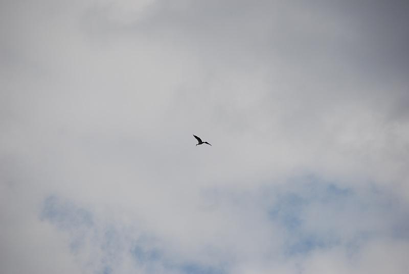 DSC_0196.JPG