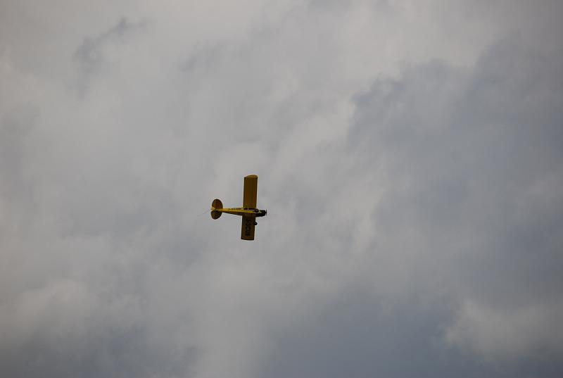 DSC_0198.JPG