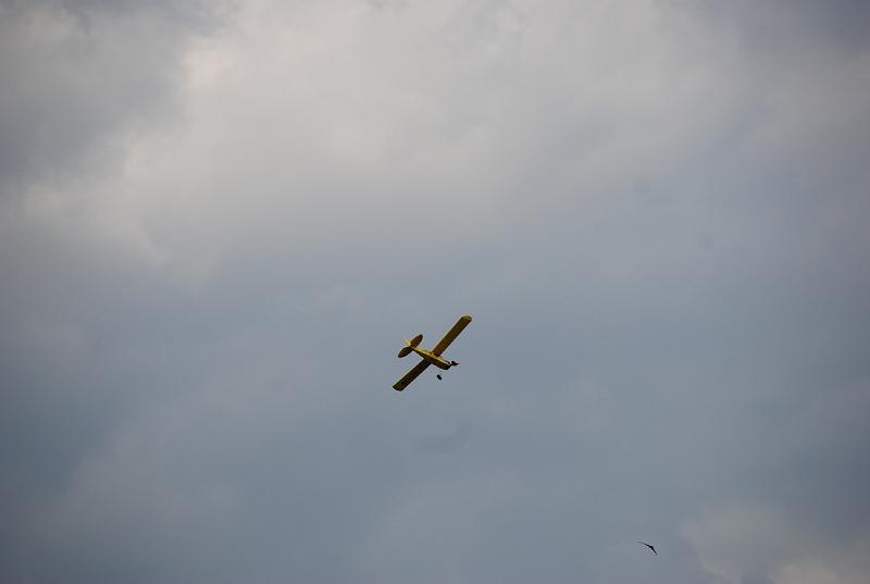 DSC_0199.JPG