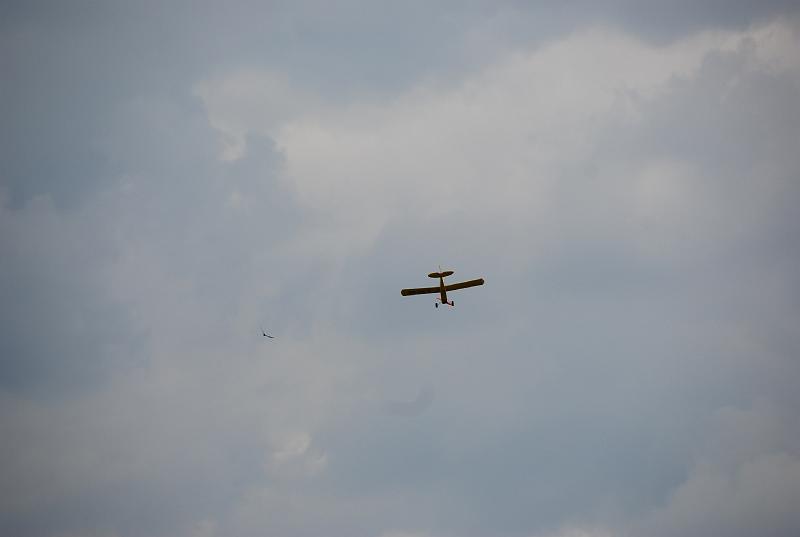 DSC_0201.JPG