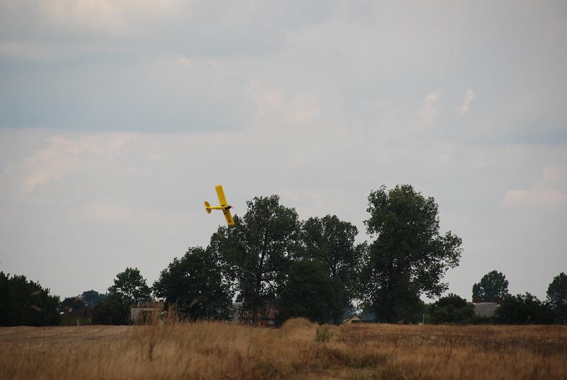 DSC_0216.JPG