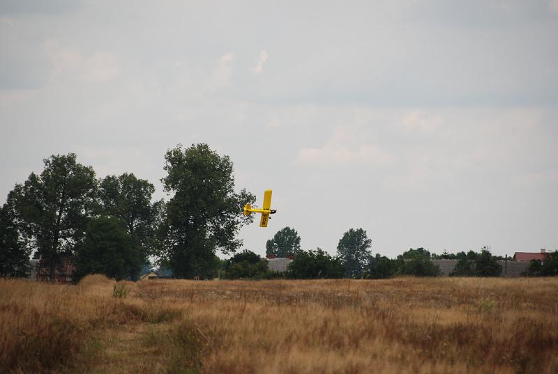 DSC_0217.JPG