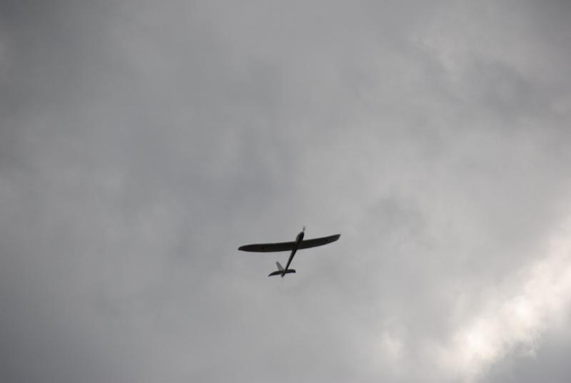 DSC_0223.JPG