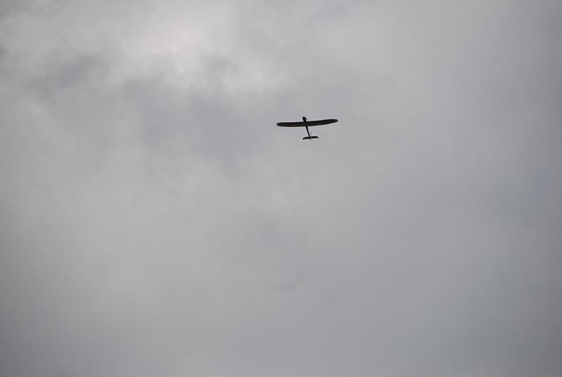 DSC_0228.JPG