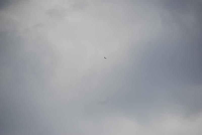 DSC_0231.JPG