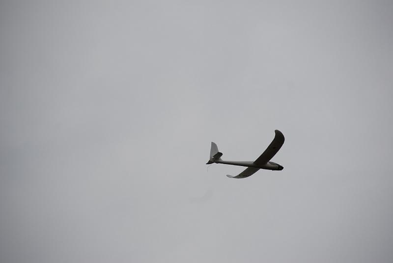 DSC_0250.JPG