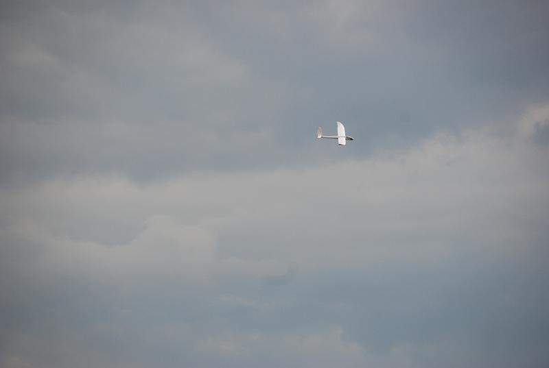 DSC_0263.JPG