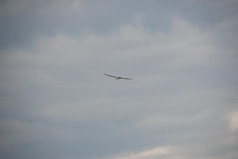 DSC_0266.JPG