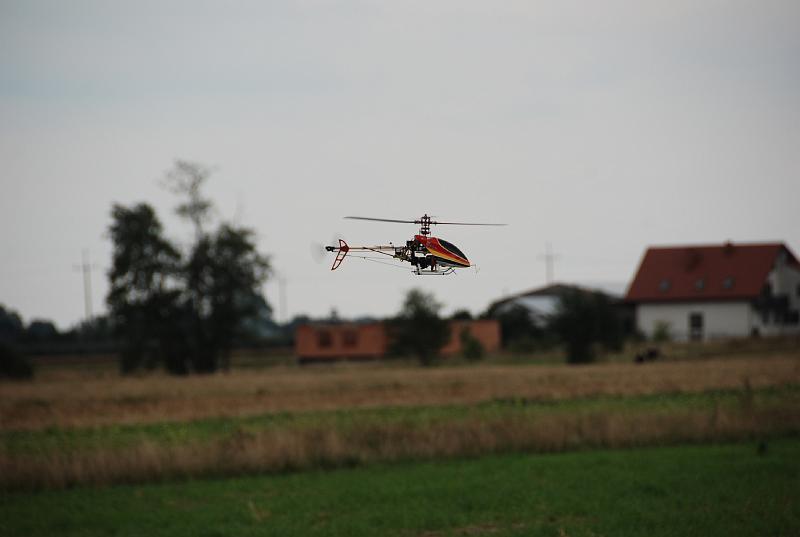 DSC_0272.JPG