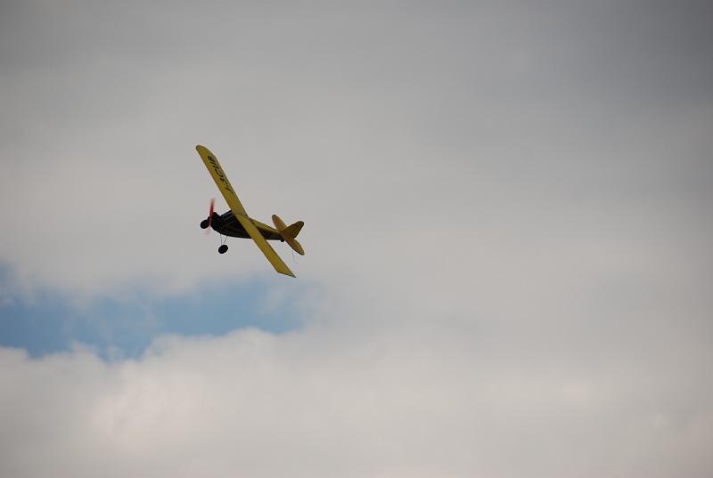 DSC_0296.JPG