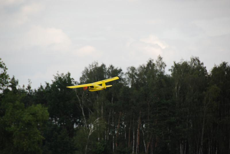DSC_0313.JPG