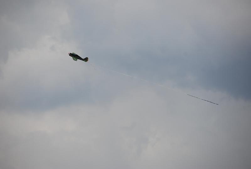 DSC_0331.JPG
