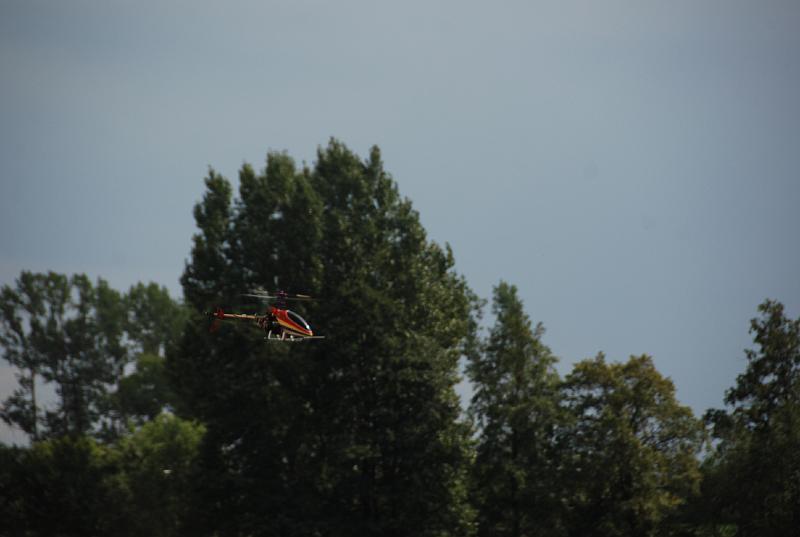 DSC_0383.JPG
