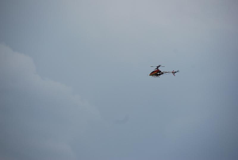 DSC_0390.JPG
