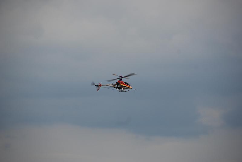 DSC_0398.JPG