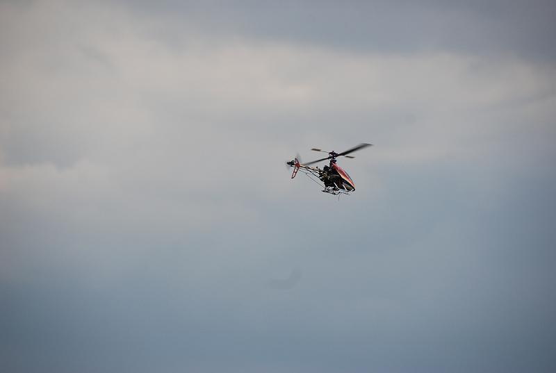 DSC_0401.JPG
