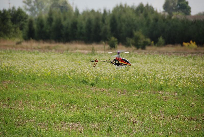 DSC_0409.JPG
