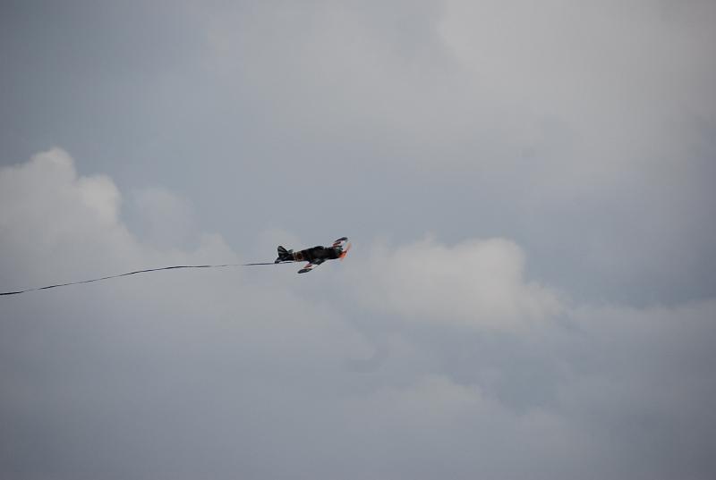 DSC_0431.JPG
