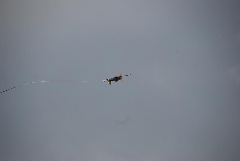 DSC_0449.JPG